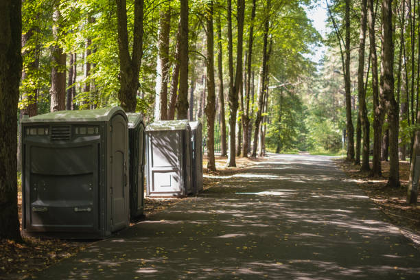 Best Porta potty rental for parties  in Hayward, WI